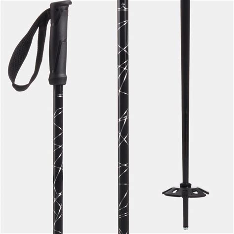 evo ski poles